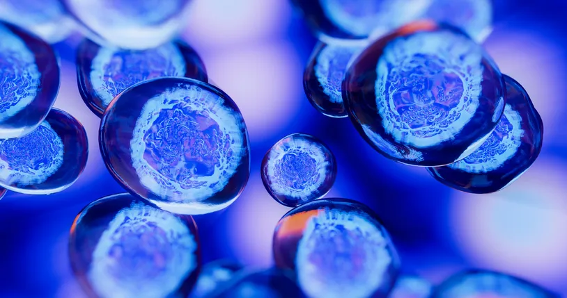 Biosimilar Guidance Image
