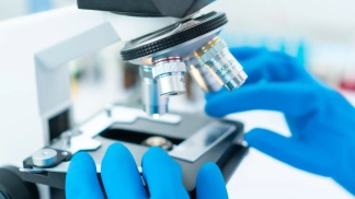 Drug Development image