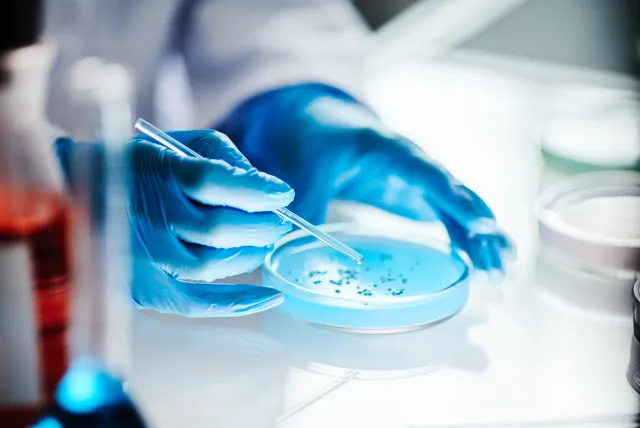 GMP Practice Laboratory image