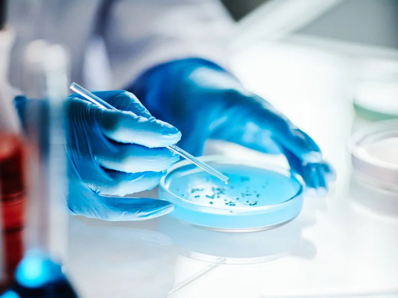 GMP voor het Lab (QC)